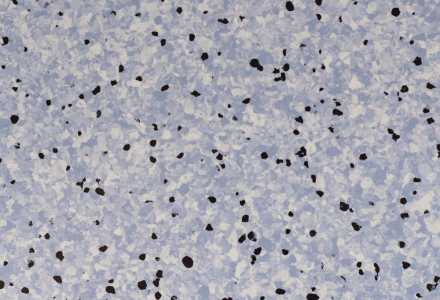 Линолеум DLV Flooring Standard ESD Tiles 2 мм 804 Lake 2х20 м