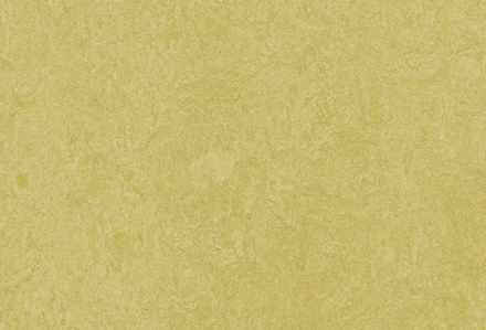 Мармолеум Forbo Fresco 3259 mustard 2,5 мм