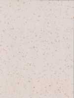 Линолеум DLV Flooring Perfect Safety 2 мм 5600 Moon Dust 2х20 м