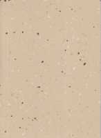 Линолеум DLV Flooring Perfect Safety 2 мм 5601 Vanilla Sky 2х20 м