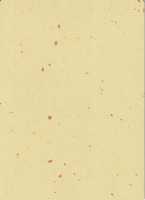 Линолеум DLV Flooring Perfect Safety 2,5 мм 5602 Sun Stone 2х20 м