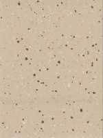 Линолеум DLV Flooring Perfect Safety 2 мм 5607 Terra Nera 2х15 м
