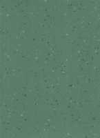Линолеум DLV Flooring Perfect Safety 2,5 мм 5642 Aventurine 2х20 м