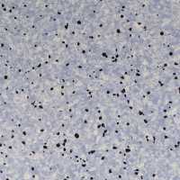 Линолеум DLV Flooring Standard ESD Tiles 2 мм 804 Lake 2х15 м