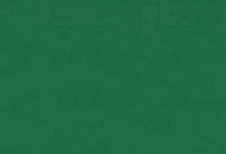 Линолеум Forbo Sportline standart 5030 green