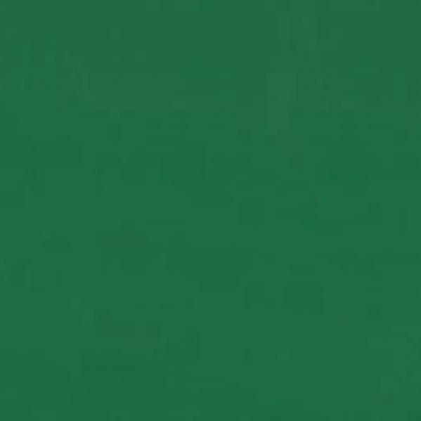 Линолеум Forbo Sportline standart 5030 green