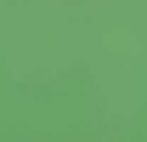 Линолеум Forbo Sportline standart 3040 lime