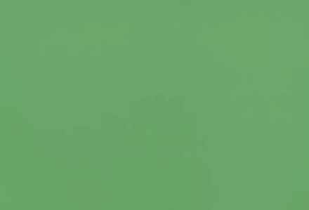 Линолеум Forbo Sportline standart 3040 lime