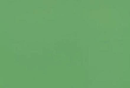 Линолеум Forbo Sportline standart 3040 lime