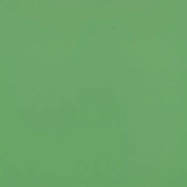 Линолеум Forbo Sportline standart 3040 lime