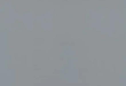 Линолеум Forbo Sportline standart 4502 grey