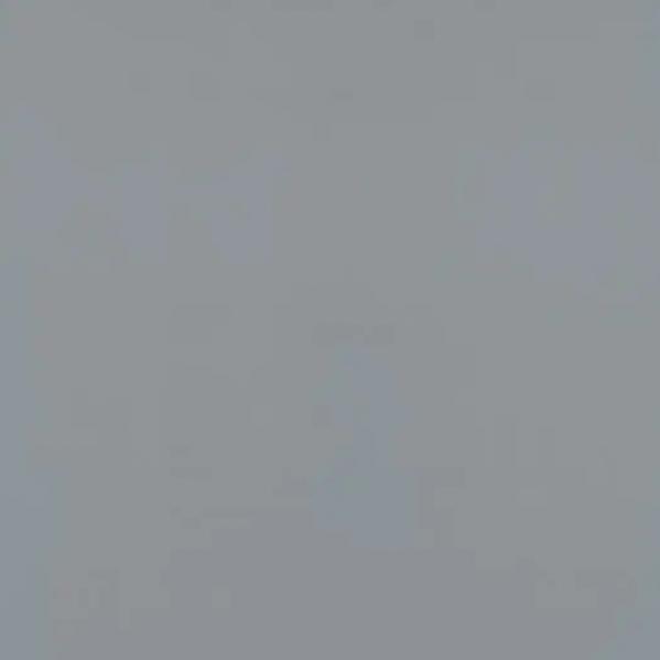 Линолеум Forbo Sportline standart 4502 grey