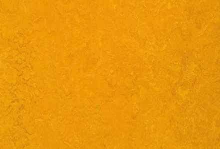 Мармолеум Forbo Fresco 3125 golden sunset 2 мм