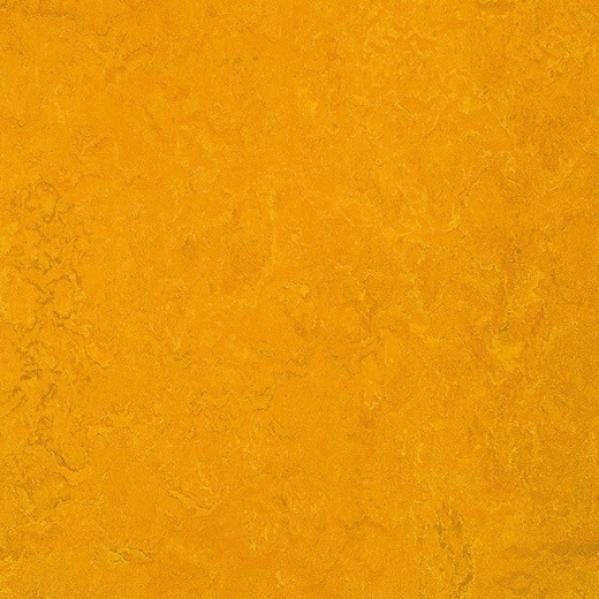 Мармолеум Forbo Fresco 3125 golden sunset 2,5 мм