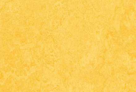 Мармолеум Forbo Fresco 3251 lemon zest 2 мм