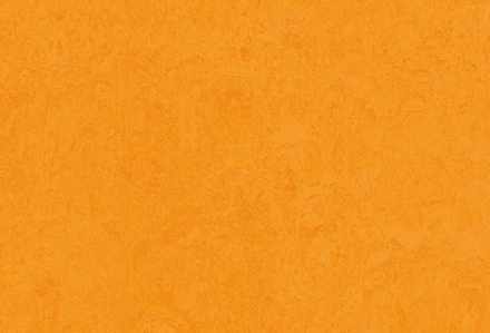 Мармолеум Forbo Fresco 3262 marigold 2,5 мм