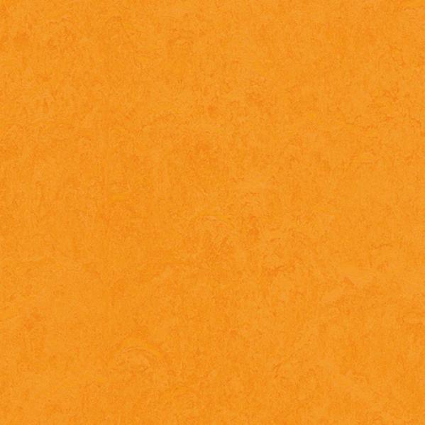 Мармолеум Forbo Fresco 3262 marigold 2,5 мм