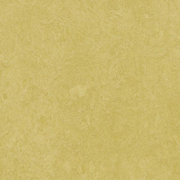 Мармолеум Forbo Fresco 3259 mustard 2,5 мм