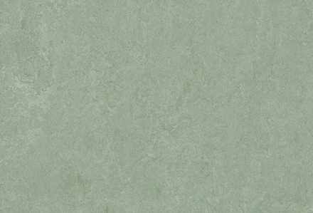 Мармолеум Forbo Fresco 3891 sage 2,5 мм