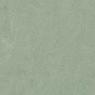 Мармолеум Forbo Fresco 3891 sage 2,5 мм