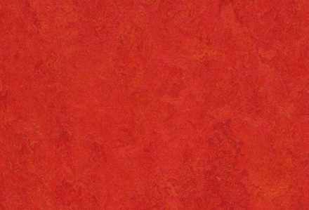 Мармолеум Forbo Fresco 3131 scarlet 2,5 мм