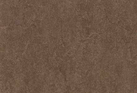 Мармолеум Forbo Fresco 3874 walnut 2,5 мм