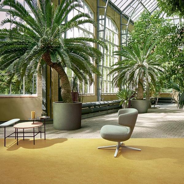 Мармолеум Forbo Fresco 3259 mustard 2,5 мм