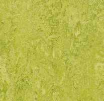 Мармолеум Forbo Real 322435 chartreuse 3,5 мм