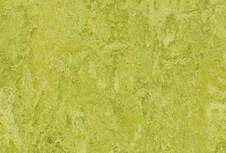 Мармолеум Forbo Real 3224 chartreuse 2 мм