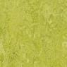 Мармолеум Forbo Real 322435 chartreuse 3,5 мм