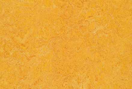 Мармолеум Forbo Real 322535 dandelion 3,5 мм